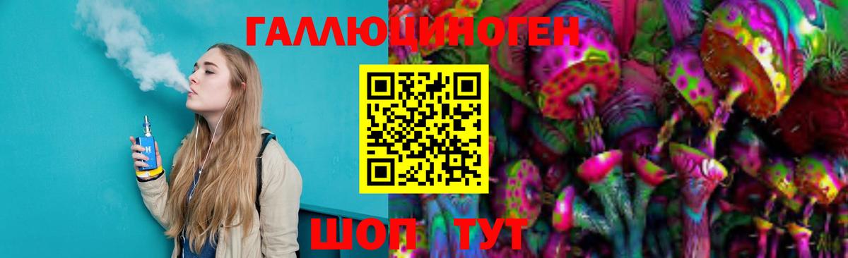 Галлюциногенные грибы Psilocybine cubensis Берёзовский